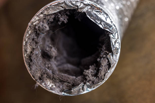 Best Best Air Duct Cleaning Company  in Kenly, NC