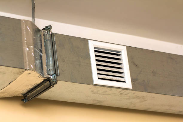 Best Local Air Duct Cleaning Services  in Kenly, NC